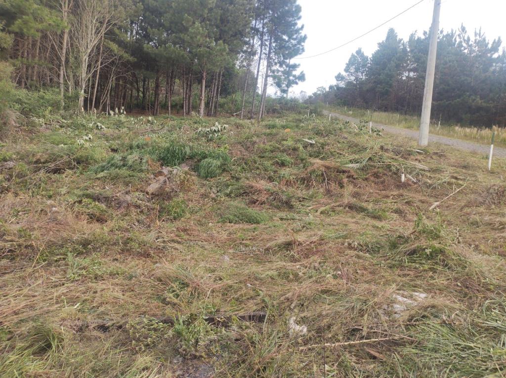 Terreno, à venda, 375 m², Desvio Rizzo - Caxias do Sul — foto 2