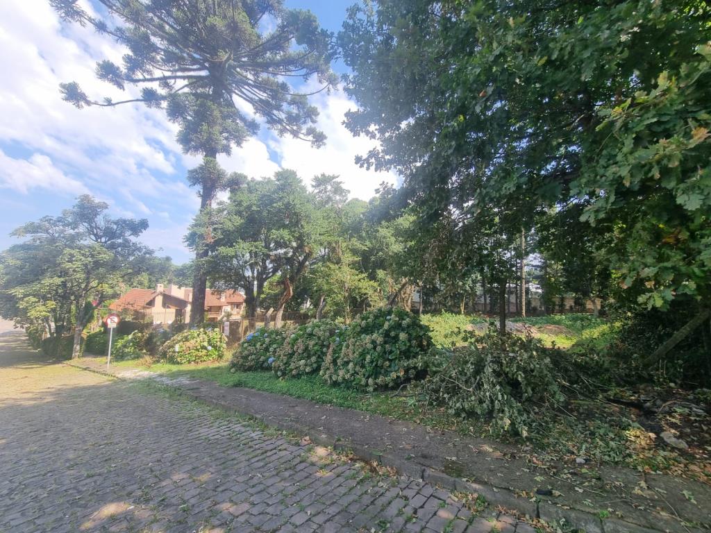 Terreno 6055