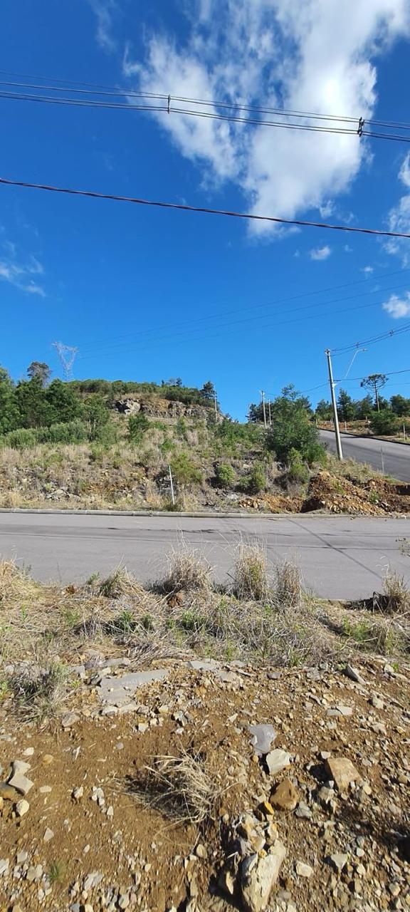 Terreno, à venda, 360 m², São Luiz - Caxias do Sul — foto 4