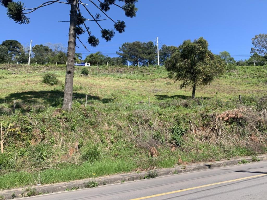 Terreno, à venda, 656 m², Nossa Senhora das Graças - Caxias do Sul — foto 3
